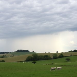 ¿Qué significa Cielo a pecorelle, acqua a catinelle explicado