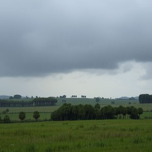 Piove e Tira Vento Meaning, Origin & Usage Like a Native