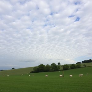 Ý nghĩa Cielo a pecorelle, acqua a catinelle và cách dùng đúng