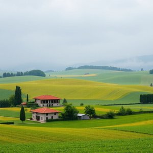 Acqua di luglio non ha padroneの意味と使い方に関する完全ガイド