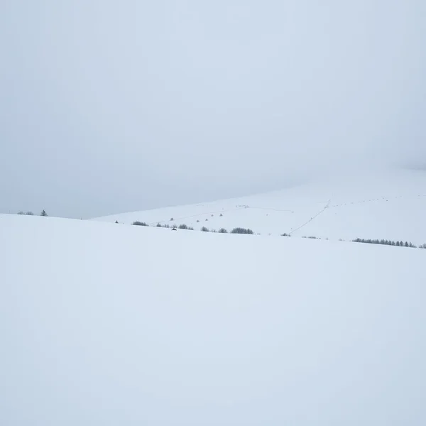 Aria di neve, silenzio breve: Un proverbio sobre el tiempo