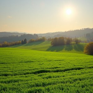 Ottobre è quasi sempre verde — Signification et usage du proverbe italien