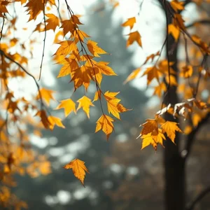 Cadere come le foglie d’autunno: significado, origem e uso da expressão italiana