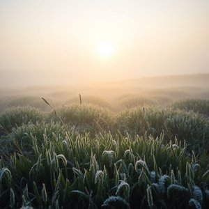 Gelare come il prato all’alba, signification, origine et comment l’utiliser