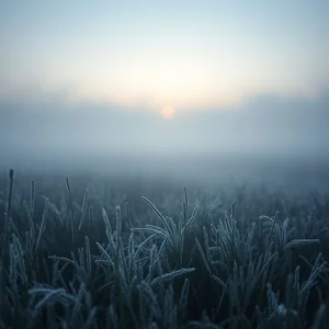 Gelare come il prato all’alba: Significado, Origem e Como Usar em Italiano