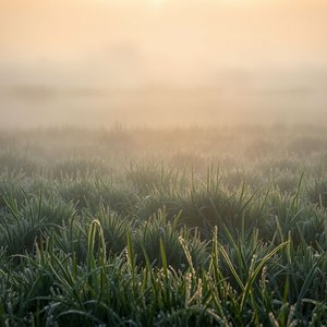 Ontdek Gelare come il prato all’alba betekenis oorsprong gebruik in het Italiaans