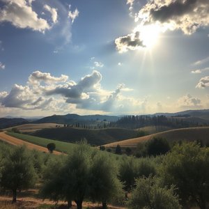 Quando il vento gira, tutto cambia signification origine et utilisation authentique