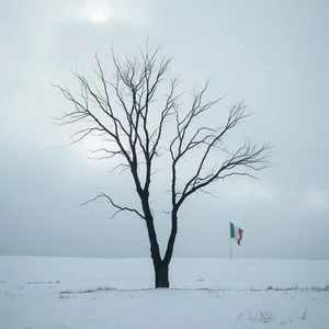Essere come un albero spoglio: что означает и как использовать в итальянском языке