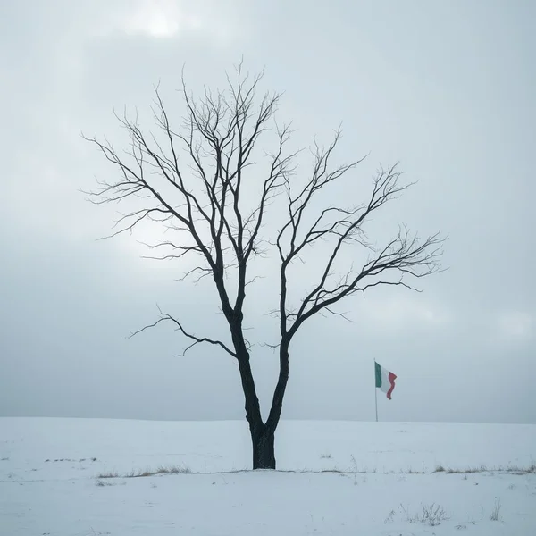 Essere come un albero spoglio