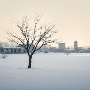 Essere come un albero spoglio Co znaczy jak używać przykłady