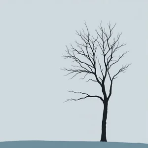 Essere come un albero spoglio Wat betekent het en hoe gebruik je deze uitdrukking