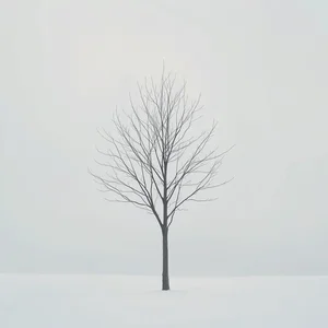 Essere come un albero spoglio とは 使う場面 実際の例 関連表現がすぐわかる