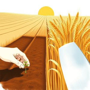 C’è un tempo per seminare e uno per raccogliere ことわざ意味と使い方・実例紹介