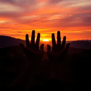 Non si può fermare il tramonto con le mani Bedeutung und echte Beispiele zum Lernen