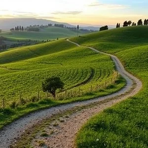 Discover 'The fields speak with time' Meaning and Usage in Italian